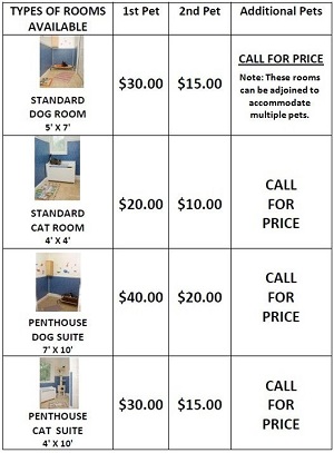 Cat Hotel near Me Prices